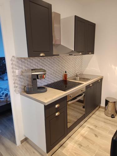virtuve, gîte dans endroit atypique (gite dans endroit atypique) in Sainte-Beuve-en-Riviere