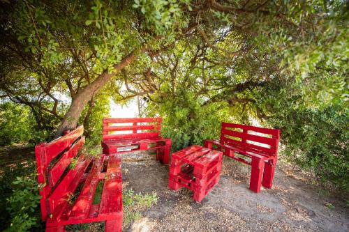 Villa S'Ena e su Juncu