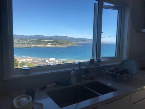 Views for day's in Lyall Bay in Wellington flygplats