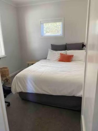 Views for day's in Lyall Bay in Wellington flygplats