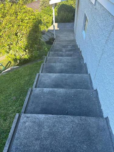 Views for day's in Lyall Bay in Wellington flygplats