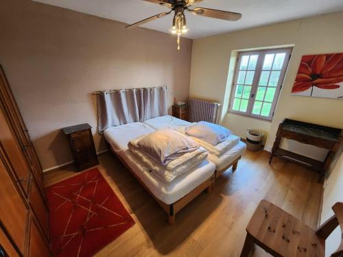 Spacious house with large garden in Valdivienne in Valdivienne