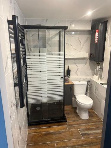 Appartement Agréable Robertsau, Страсбург (фото 3)