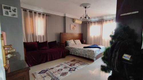 Charming 3-Bedroom Apartment in Alexandria with City View - image 2
