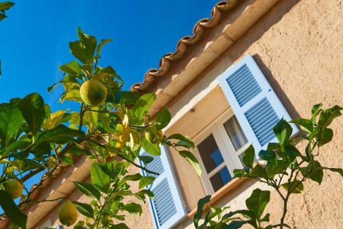 Protur Residencia Son Floriana - image 7