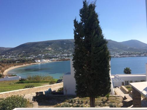 Suite with Sea View image 7