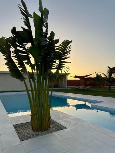 Ma Demeure Africaine