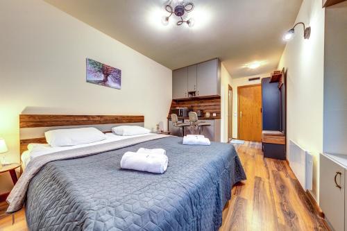 Cozy Studio in Grand Resort Pamporovo by Flat Manаger, Pamporovo (fotografie 11)
