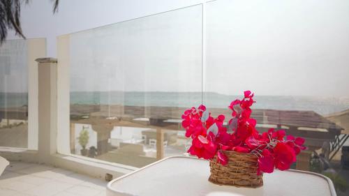 Balcony/terrace, Wala Hotel and Beach Club in El Laguito