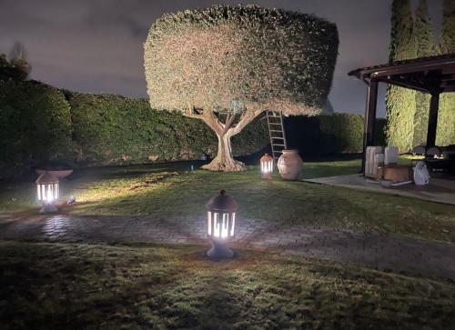 Villa Marilyn in Valleranello