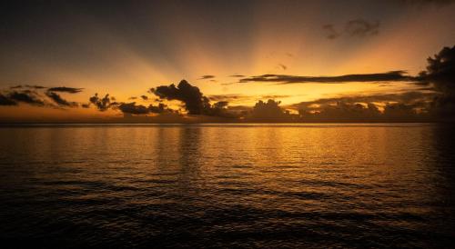 Beach, Tavaetu Guesthouse in Austral Islands