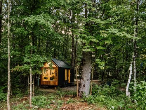 Lumen Nature Retreat