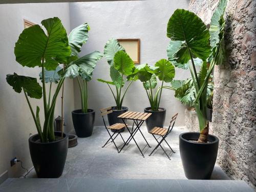 Hacienda Álamos in Laborcillas, Mexico