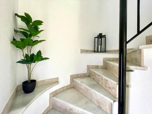 Geysotur Balcón del Puente Romano con Parking Gratis, Kordoba (zdjęcie 10)