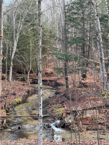 New, Spacious and charming, with a river view, conveniently located near skiing and golf