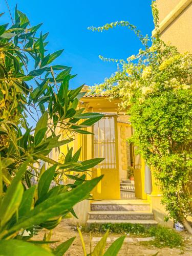 Sidi Hamad Pyramids INN - image 8