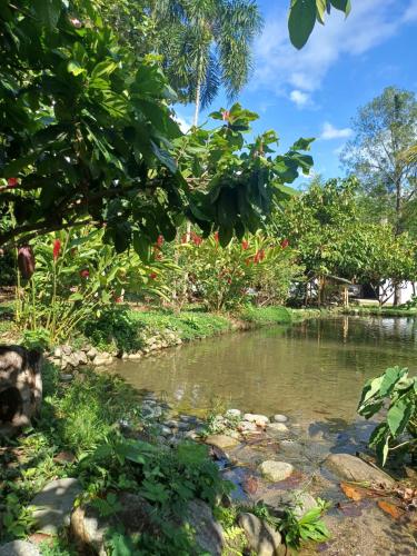 El Cacaotal Finca Faura #5 3H