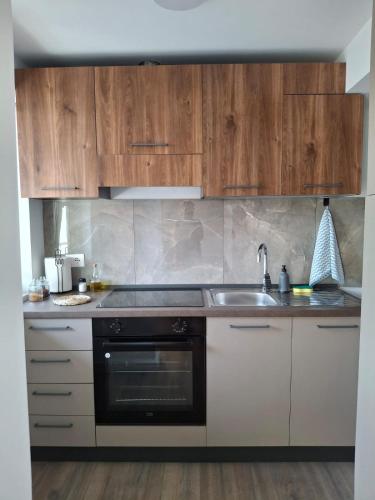 New Fabulous Attic - Modern and Stylish, Tirana (photo 7)