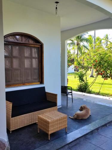 Pousada Estrela Feliz in คานาเวียอิรัส