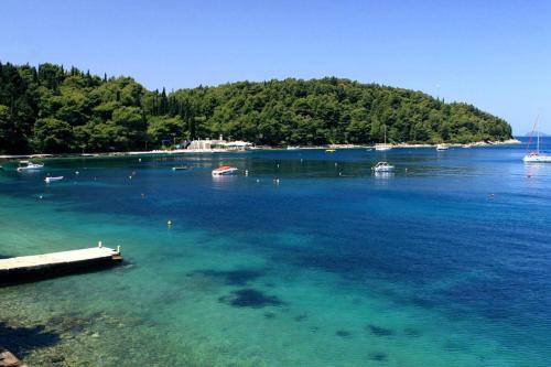 Apartment Milu - 80m from sea - image 8