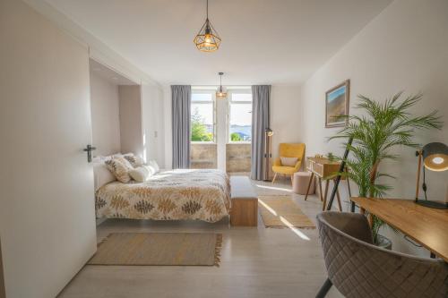 ApArtStudio 1
