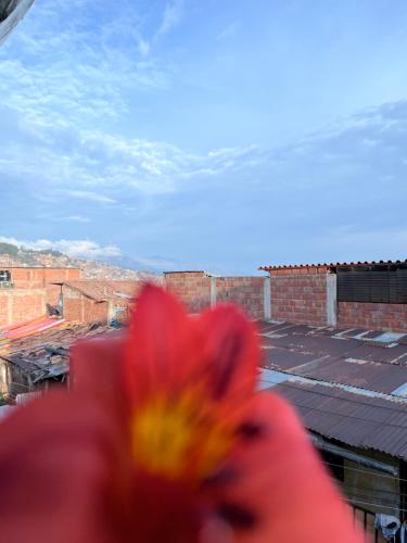 ENEDE HOSTEL in Cusco