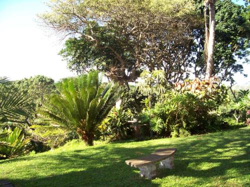 St Lucia Eco Lodge