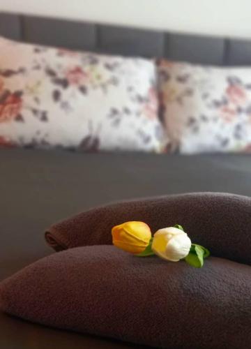 Wadies at The Reizz Residence