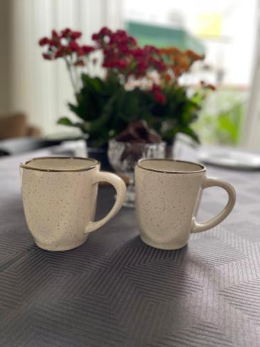 Apto novo, 2 quartos a 5min da Vila Germânica, com ar e garagem (Apto novo, 2 quartos a 5min da Vila Germanica, com ar e garagem) in เฟลยา