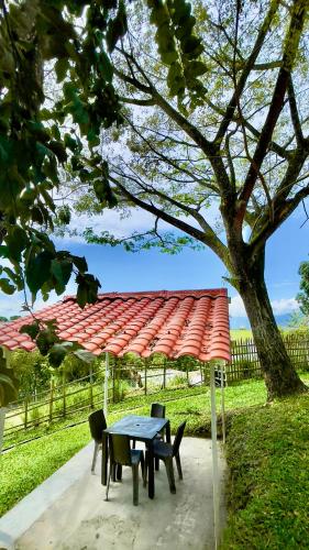 Garden, Loto Del Viento in Cartago (Valle del Cauca)