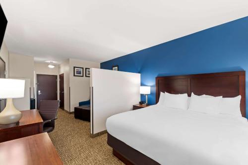 Comfort Inn & Suites Near Lake Lewisville - main image