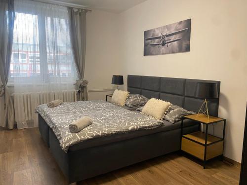 Černá Růže - Apartmán 3, Plzeň