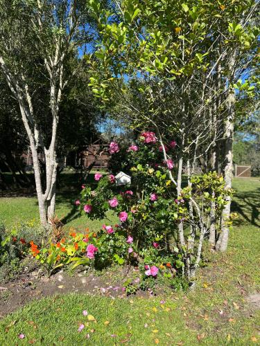 Greenfern Lodge and Chalets Greenfern Lodge and Chalets