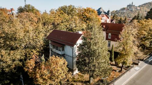Am großen Bleek Villa Gartenblick - image 2