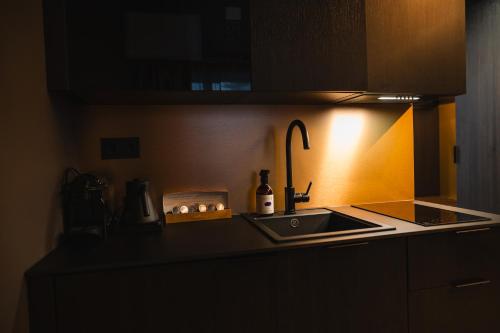 Kjøkken, Hotel Ylläsrinne Deluxe (Hotel Yllasrinne Deluxe) in Ylläsjärvi