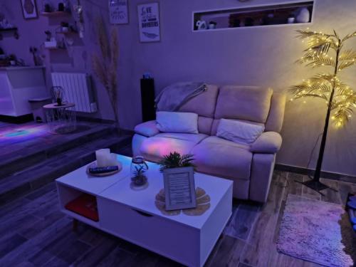 Studio avec jacuzzi , terrasse amenagée et wifi à Westrehem chambre d'hôte Auchy-au-Bois