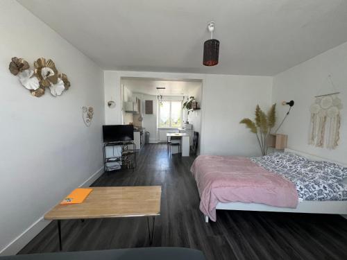 joli T1 avec parking gratuit - Castel Meur