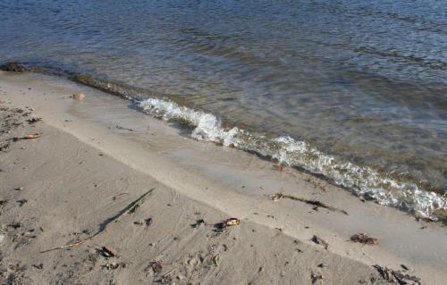 Strand, Ferienhof Lucht in Muhbrook
