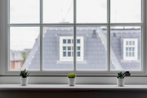 Modern and Stylish Apartment in West Kensington - image 7