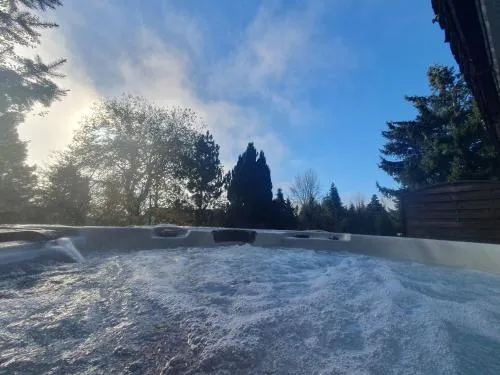 Ferienhaus-Schönwald im Herzen des Schwarzwaldes 2-Zimmer mit Terrasse und Whirlpool App15 in Schönwald, Deutschland