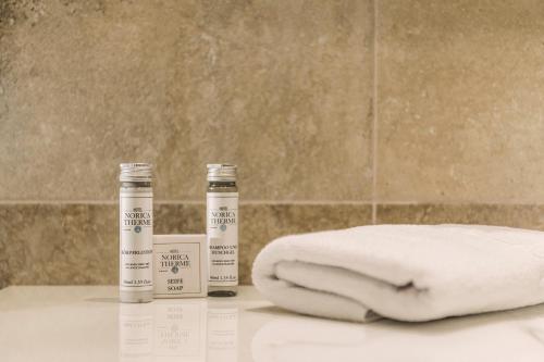 Hotel Norica - Thermenhotels Gastein - image 4
