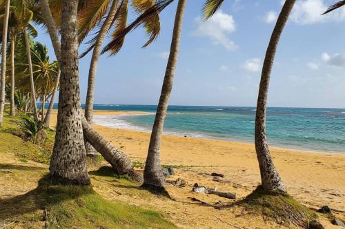 Ocean Breeze II- 3A- Brisa Mar - image 13