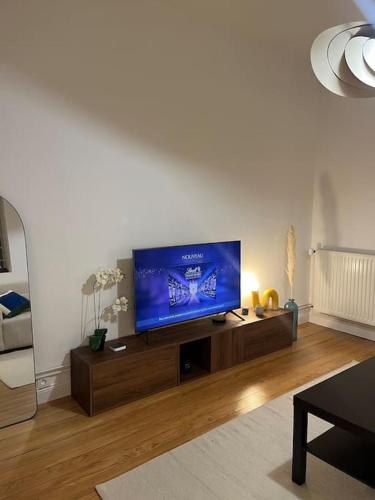 Magnifique & Cozy appartement au cœur de Strasbourg avec terrasse, Straßburg (Foto 10)