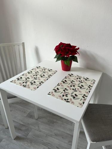 Apartmán Pisek centrum (Apartman Pisek centrum) in ปิเสค