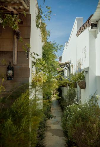 Lengkeng Da Lat Homestay - 주변 환경