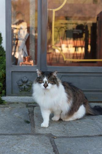 Guesthouse Giulietta e Romeo – Cossogno, NC