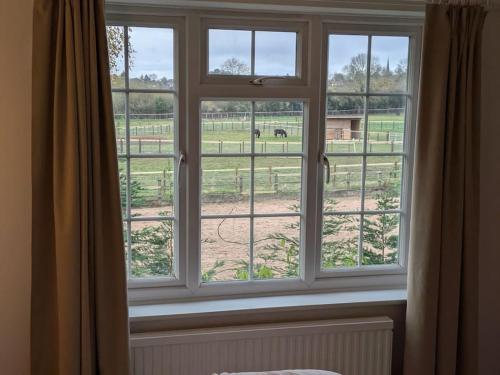 Garden, Lavender Lodge in Burbage