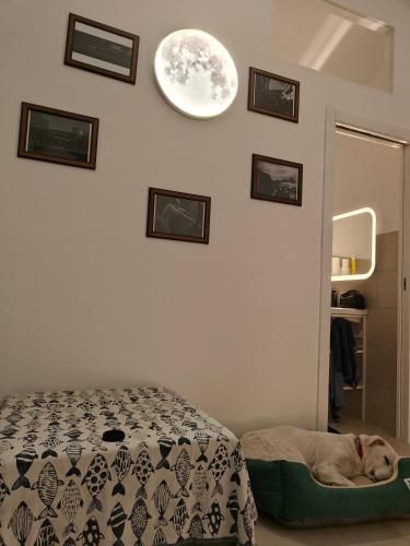 Il nido di Luna, Turín (fotografie 10)