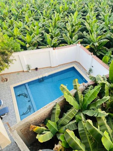 El Hady villa with swimming pool, Luxor