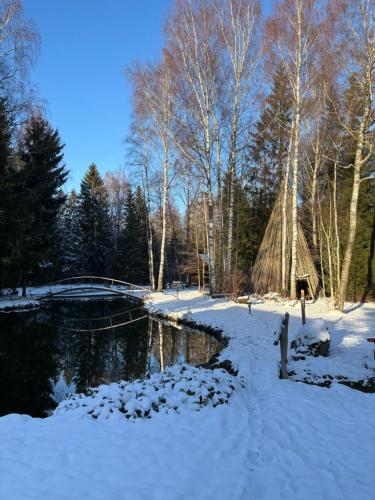 Koplimadise Palkmaja in Veskiküla